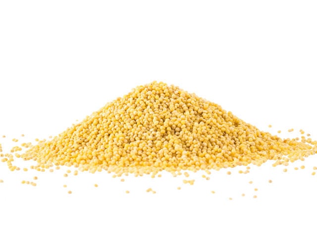 Millet